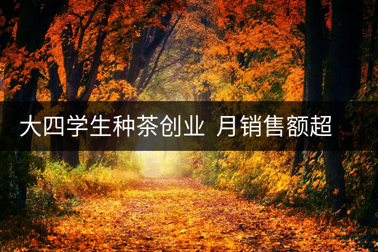 大四學(xué)生種茶創(chuàng)業(yè) 月銷售額超五十萬(wàn) 大四學(xué)生種茶創(chuàng)業(yè) 月銷售額超五十萬(wàn)