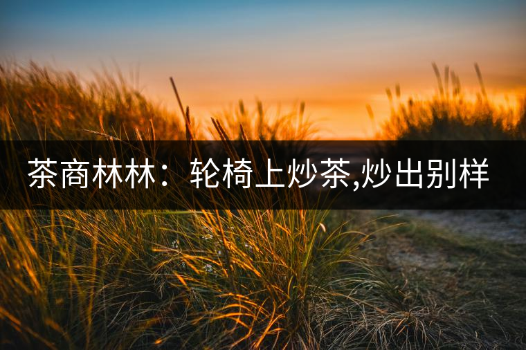 茶商林林：輪椅上炒茶,炒出別樣的一生！