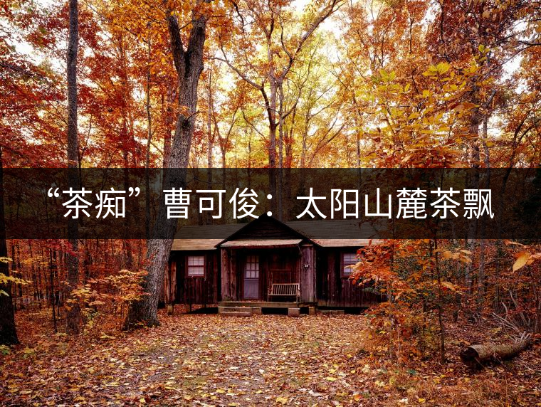 “茶癡”曹可俊：太陽山麓茶飄香，清明時節(jié)采茶忙