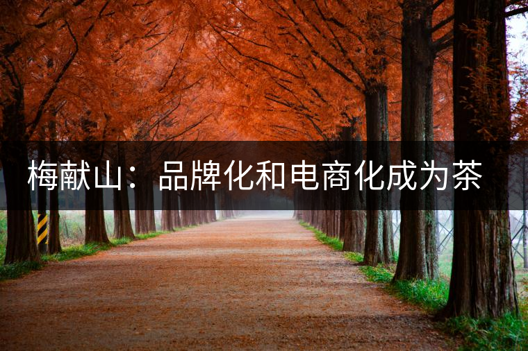 梅獻(xiàn)山：品牌化和電商化成為茶產(chǎn)業(yè)的第三個轉(zhuǎn)機