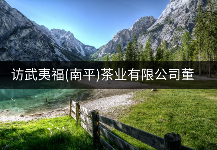訪(fǎng)武夷福(南平)茶業(yè)有限公司董事長(zhǎng)張敏瓊