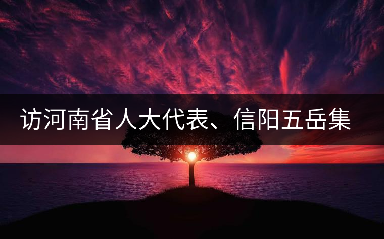 訪河南省人大代表、信陽(yáng)五岳集團(tuán)董事長(zhǎng)胡鎮(zhèn)——茶鄉(xiāng)亦飄茶油香