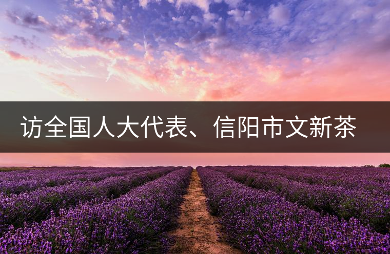 訪全國人大代表、信陽市文新茶葉有限責任公司董事長劉文新 訪全國人大代表、信陽市文新茶葉有限責任公司董事長劉文新