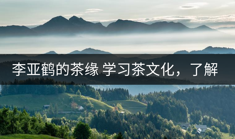 李亞鶴的茶緣 學(xué)習(xí)茶文化，了解茶文化，品味茶文化