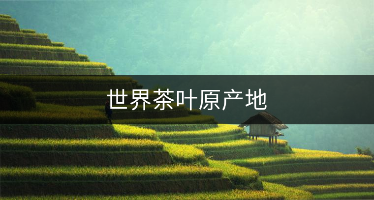 世界茶葉原產(chǎn)地 世界茶葉原產(chǎn)地