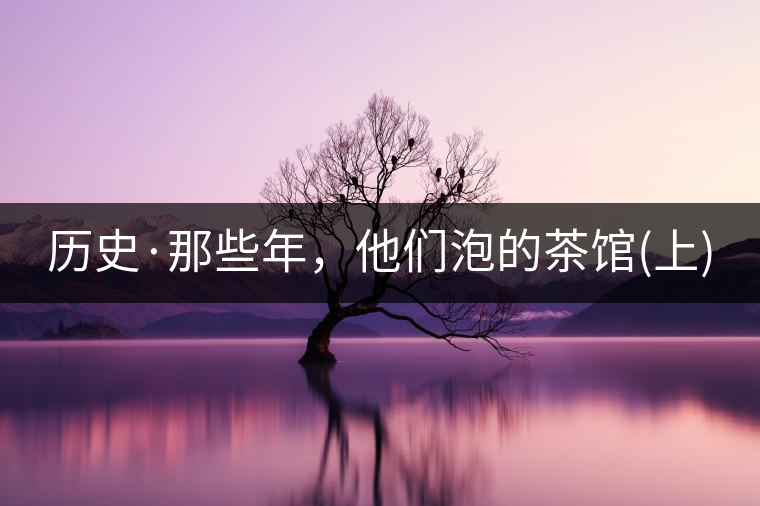 歷史·那些年，他們泡的茶館(上)