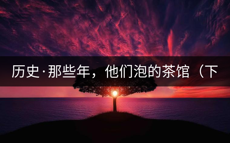 歷史·那些年，他們泡的茶館（下）
