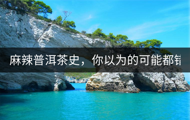 麻辣普洱茶史，你以為的可能都錯了！