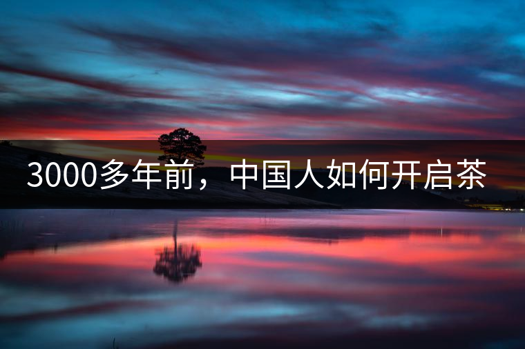 3000多年前，中國(guó)人如何開(kāi)啟茶生活？