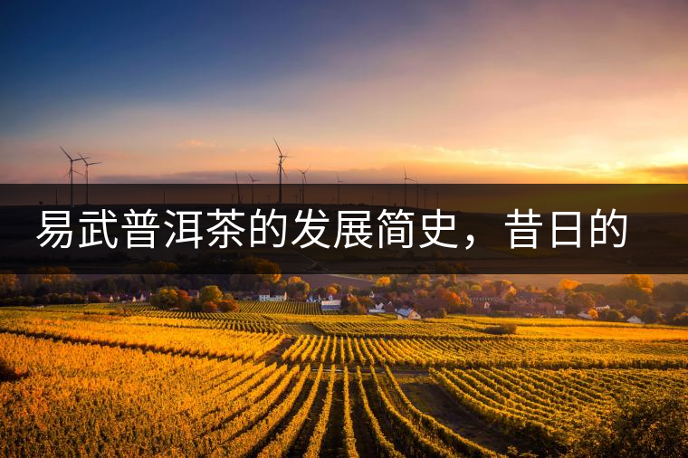 易武普洱茶的發(fā)展簡(jiǎn)史，昔日的貢茶如今依然輝煌