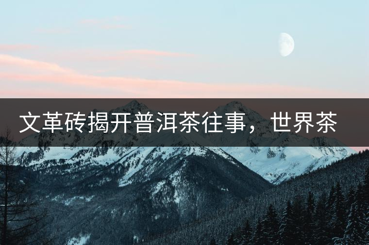 文革磚揭開普洱茶往事，世界茶文化交流協(xié)會成員共品經(jīng)典文革磚！