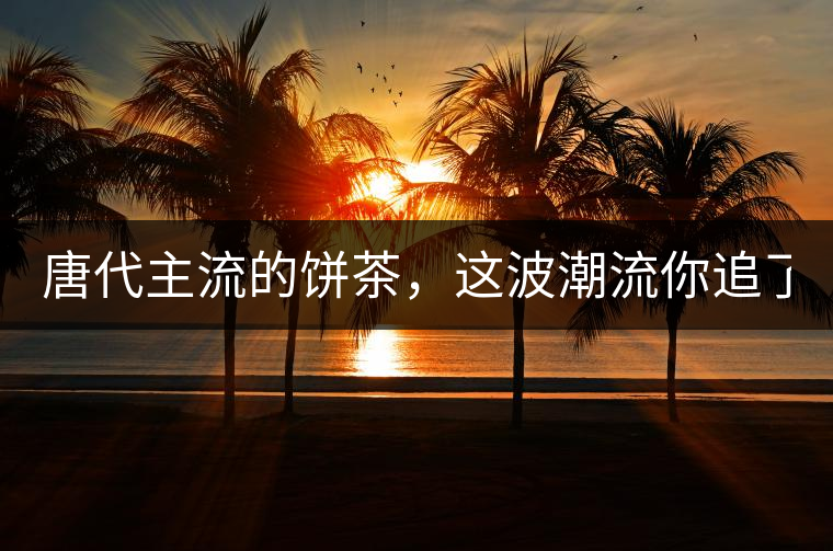 唐代主流的餅茶，這波潮流你追了嗎？