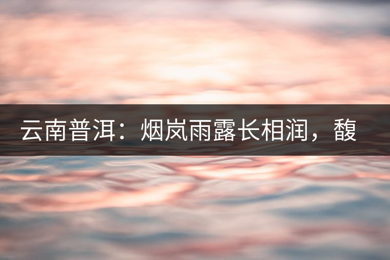云南普洱：煙嵐雨露長(zhǎng)相潤(rùn)，馥郁芳香久久留
