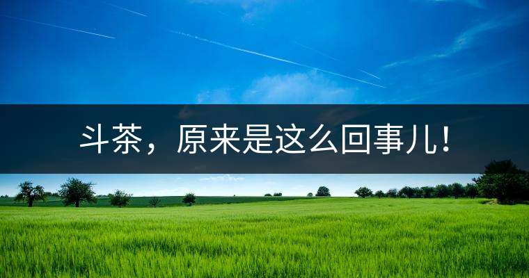 斗茶，原來是這么回事兒！