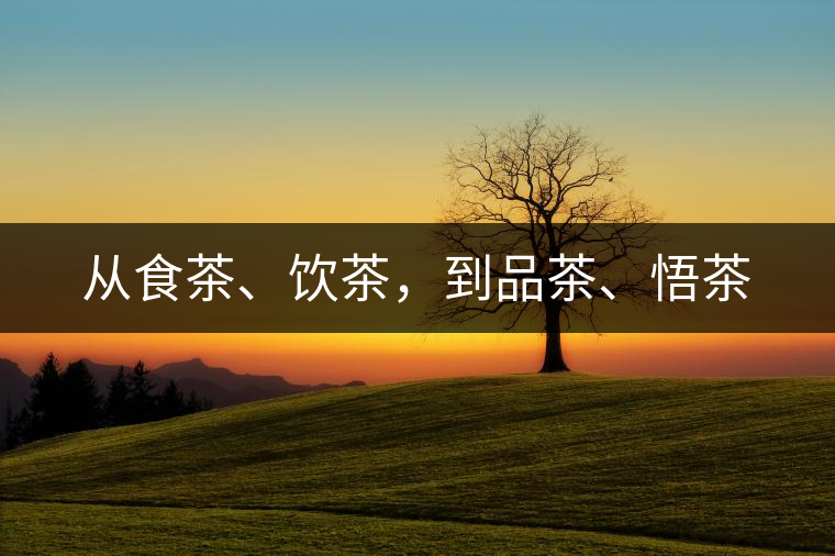 從食茶、飲茶，到品茶、悟茶