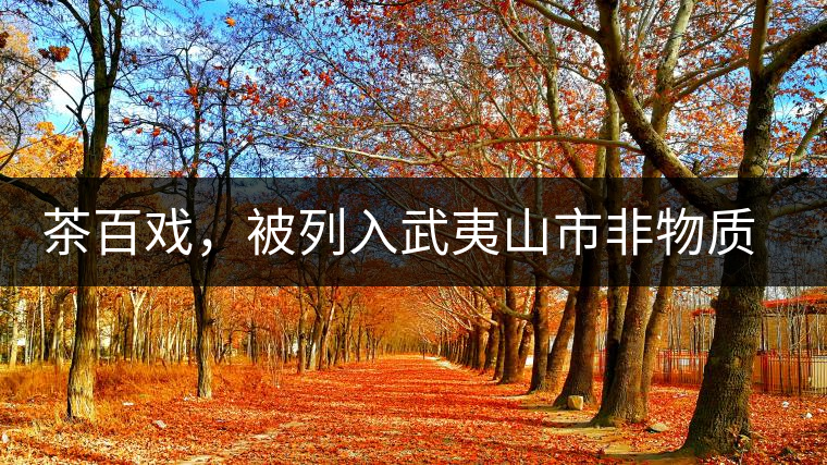 茶百戲，被列入武夷山市非物質(zhì)文化遺產(chǎn)的茶湯