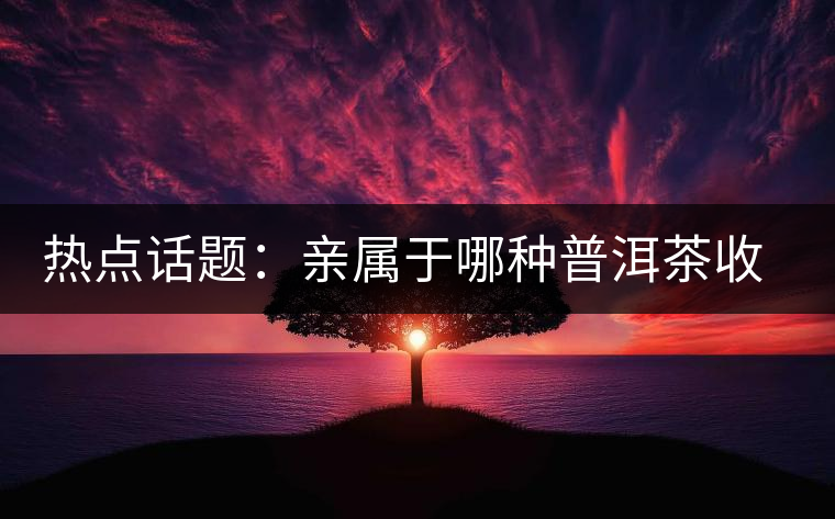 熱點(diǎn)話題：親屬于哪種普洱茶收藏者？