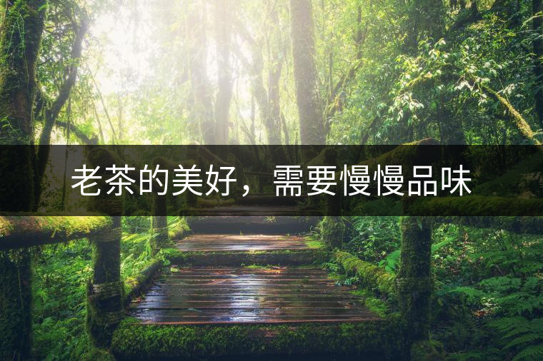 老茶的美好，需要慢慢品味