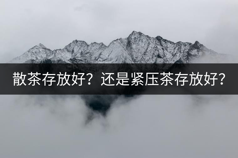 散茶存放好？還是緊壓茶存放好？