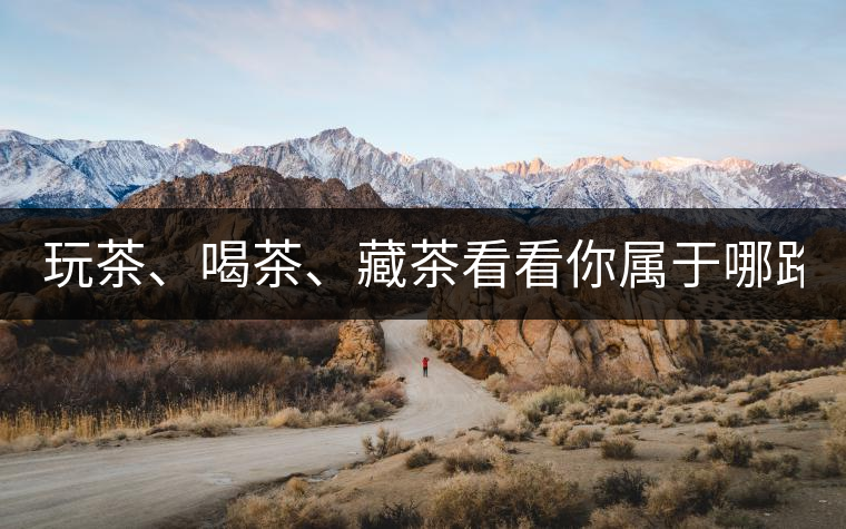 玩茶、喝茶、藏茶看看你屬于哪路茶神！