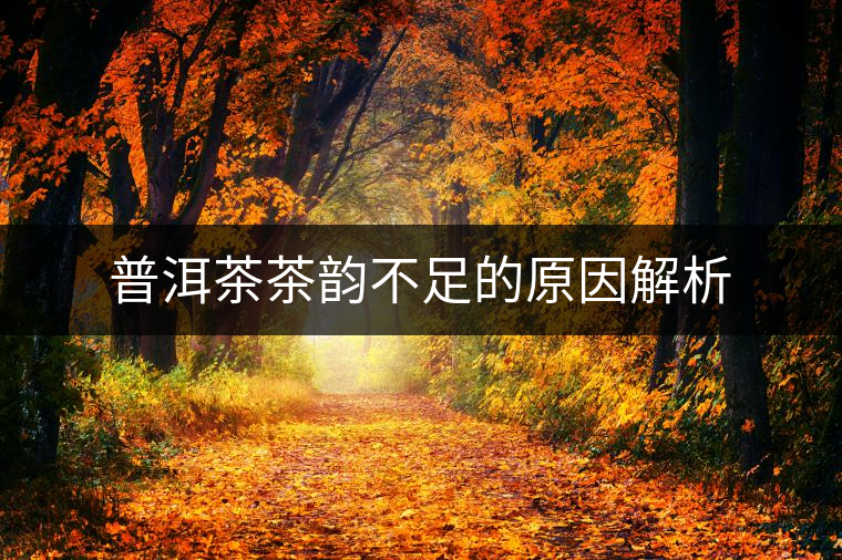 普洱茶茶韻不足的原因解析 普洱茶茶韻不足的原因解析