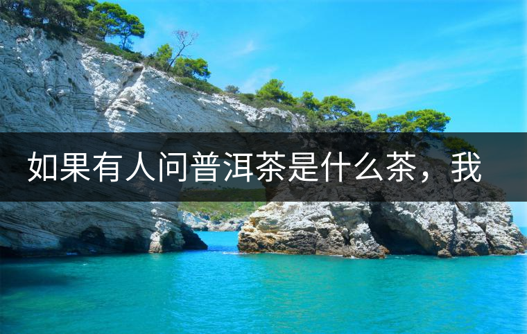 如果有人問普洱茶是什么茶，我就請他看這個段子