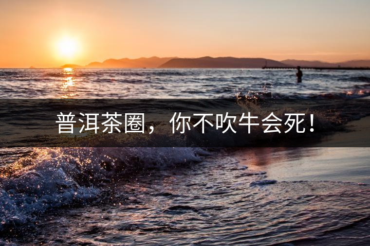 普洱茶圈，你不吹牛會死！