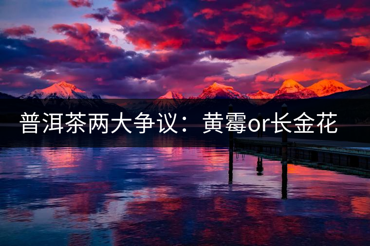 普洱茶兩大爭議：黃霉or長金花，生蟲or蟲屎茶