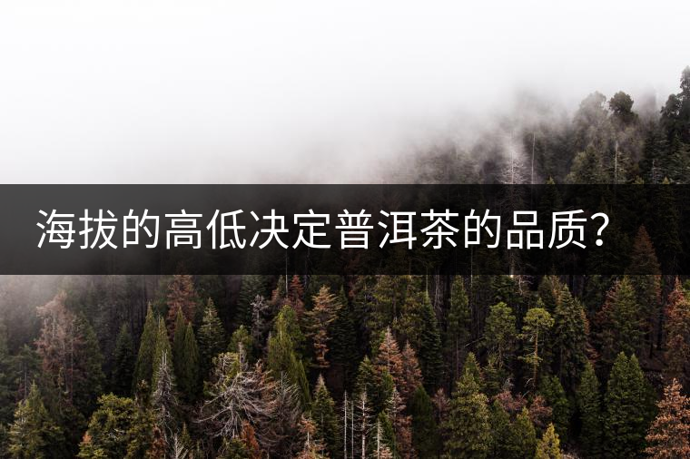 海拔的高低決定普洱茶的品質(zhì)？【附：名山頭茶海拔表】