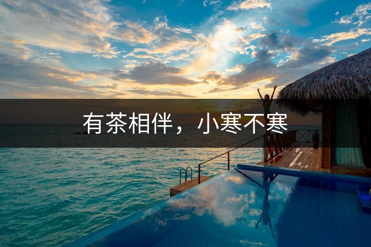 有茶相伴，小寒不寒