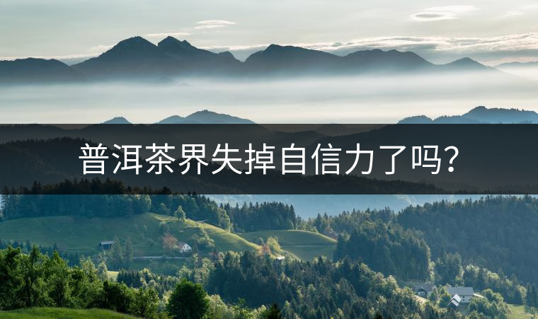 普洱茶界失掉自信力了嗎？