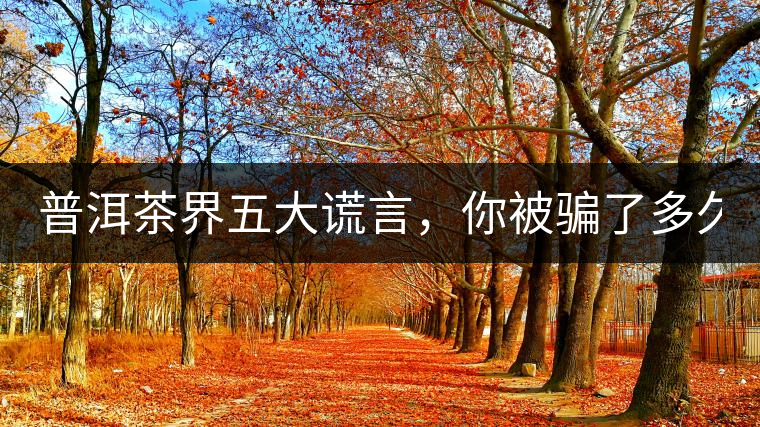 普洱茶界五大謊言，你被騙了多久？