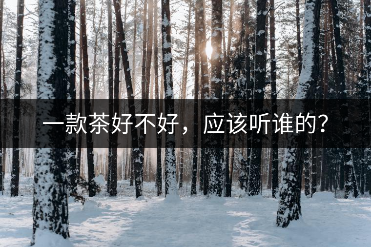 一款茶好不好，應該聽誰的？