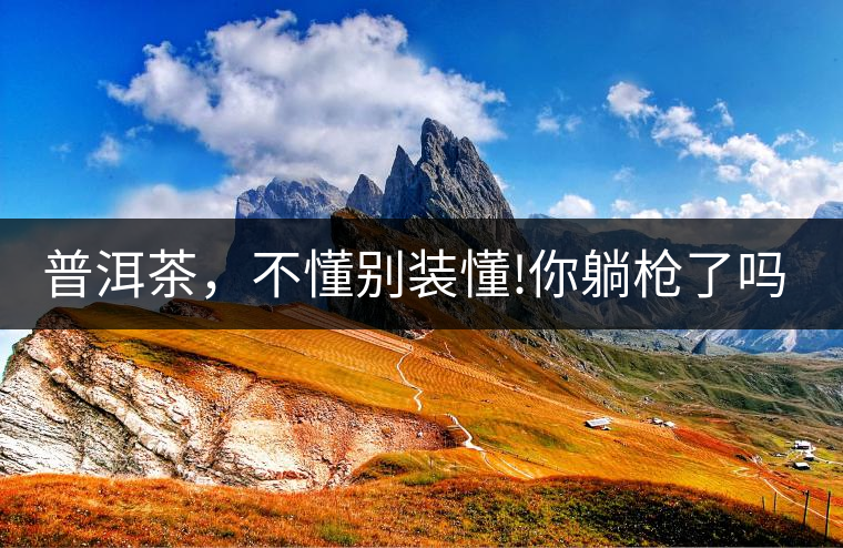 普洱茶，不懂別裝懂!你躺槍了嗎?