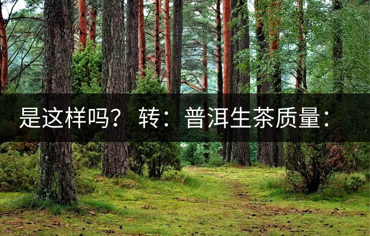 是這樣嗎？ 轉(zhuǎn)：普洱生茶質(zhì)量：大廠和小廠沒有區(qū)別