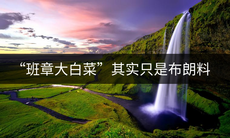 “班章大白菜”其實只是布朗料？