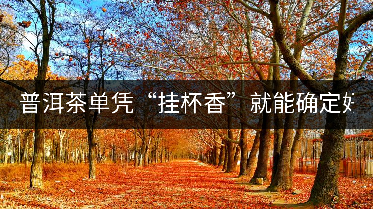 普洱茶單憑“掛杯香”就能確定好壞？you錯了！