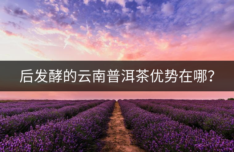 后發(fā)酵的云南普洱茶優(yōu)勢(shì)在哪？