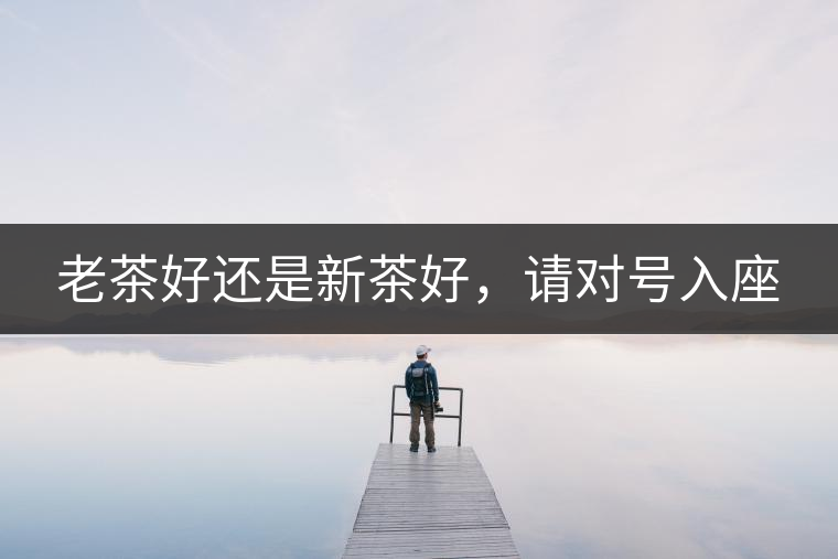 老茶好還是新茶好，請對號入座