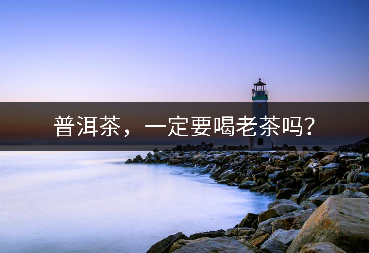 普洱茶，一定要喝老茶嗎？
