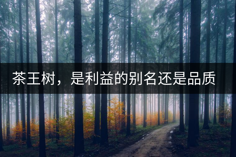 茶王樹，是利益的別名還是品質(zhì)的象征？