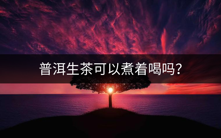 普洱生茶可以煮著喝嗎？