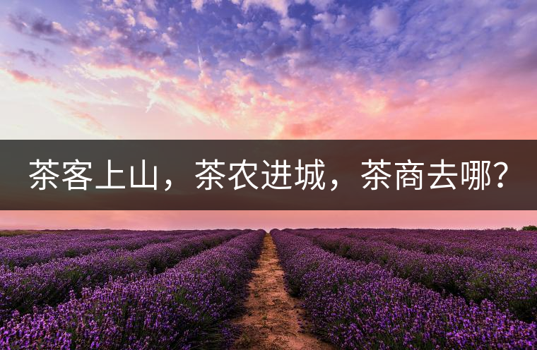 茶客上山，茶農(nóng)進(jìn)城，茶商去哪？