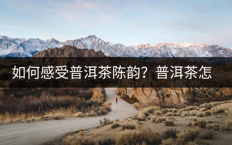 如何感受普洱茶陳韻？普洱茶怎么喝？