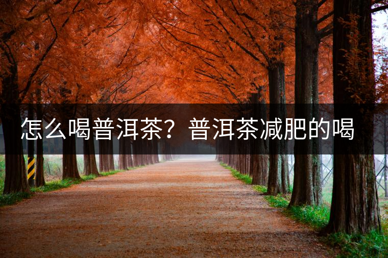 怎么喝普洱茶？普洱茶減肥的喝法