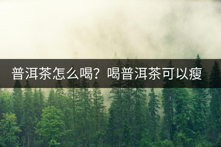 普洱茶怎么喝？喝普洱茶可以瘦腹嗎？