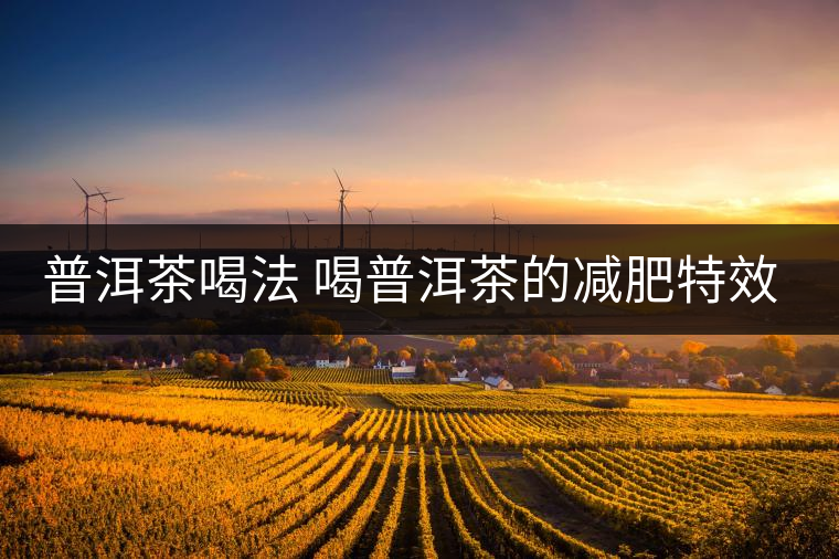 普洱茶喝法 喝普洱茶的減肥特效是什么呢？