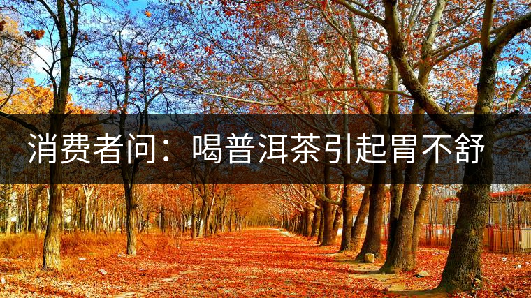消費者問：喝普洱茶引起胃不舒服怎么辦？