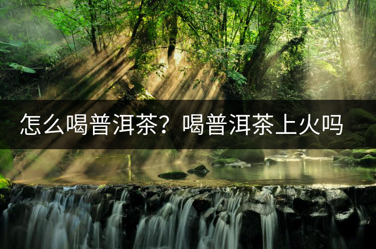 怎么喝普洱茶？喝普洱茶上火嗎？喝普洱茶會不會上火？