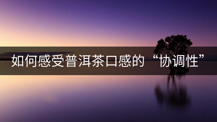 如何感受普洱茶口感的“協(xié)調(diào)性”？